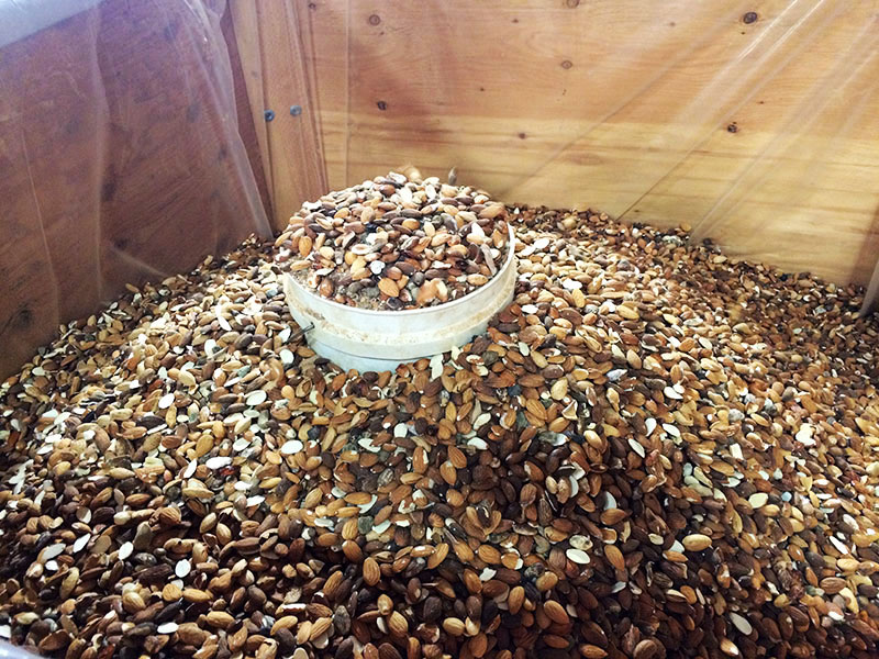 0403-pile -of -almonds -p