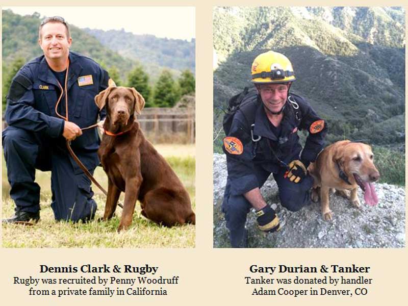 0427-search-dogs-screengrab-p