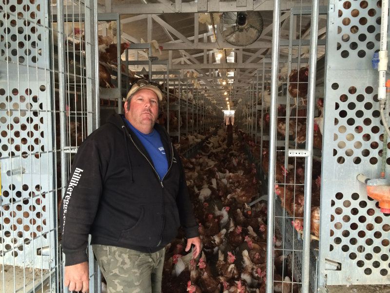 Chicken Farmer
