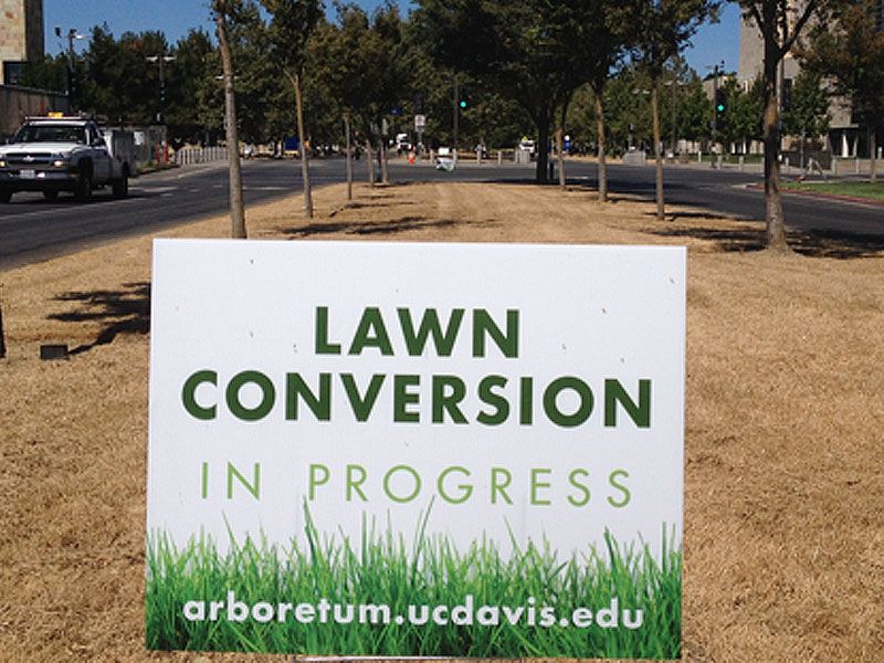 0623-uc -davis -lawn -conversion