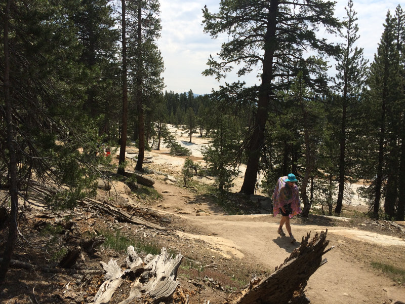 PCT Hiker 1