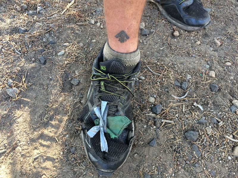 PCT Hiker Shoes