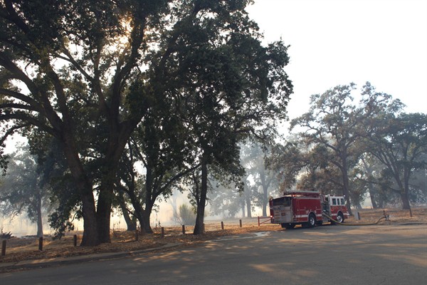Leveefire6