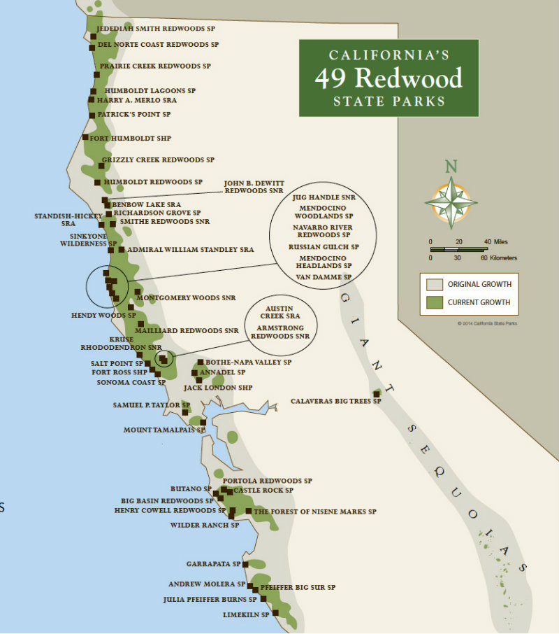 112715 49-redwood-parks-large.jpg