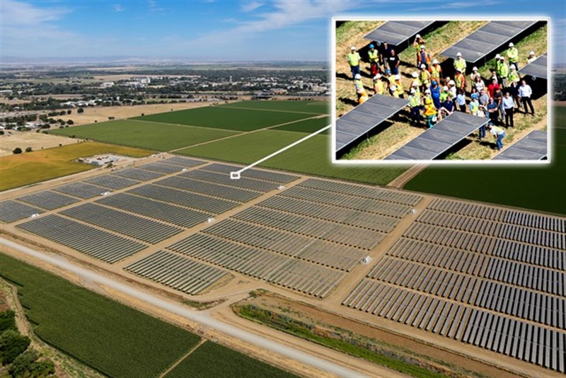 Solar Farm tiny people