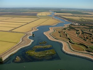 California Water