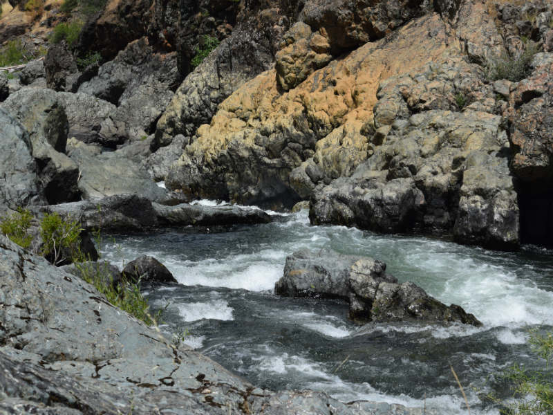0620 16 pa dogface bear river