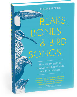 FIAB-Beaks -Bones -Birdsong