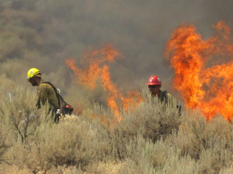 0804virginiafire