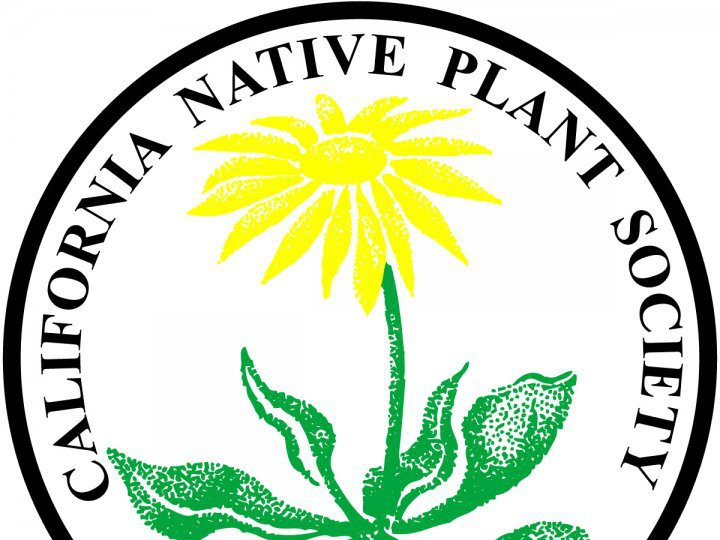 How To Prepare For Native Plant Gardening In The Spring - capradio.org