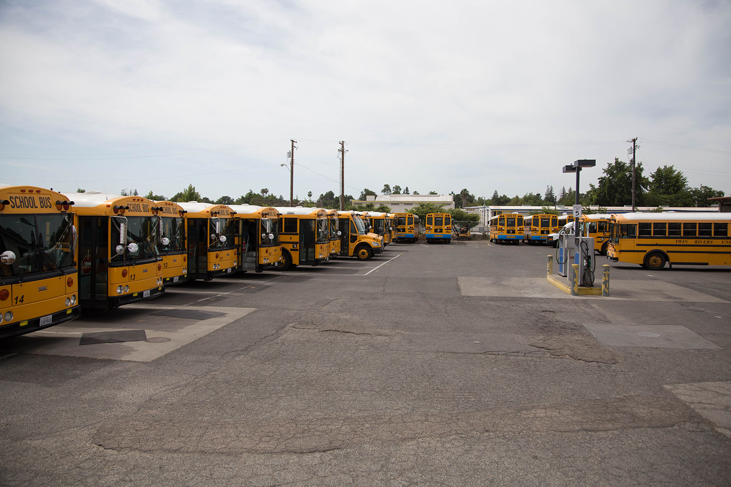 The Twin Rivers Unified School District bus fleet.