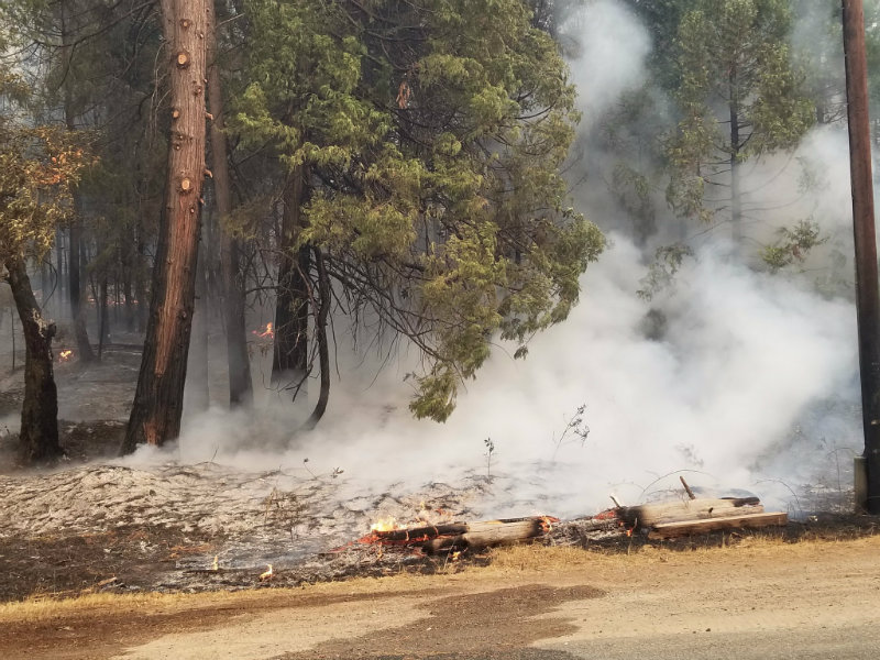 Suspect Arrested For Allegedly Starting Ponderosa Fire Evacuation suspect-arrested-for-allegedly-starting-ponderosa-fire-evacuation