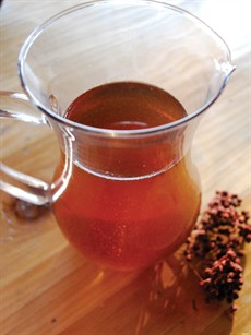 Toyon Cider 1P